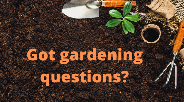 Image for event: Ask a Master Gardener