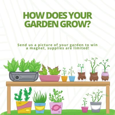 Image for event: How Does Your Garden Grow?
