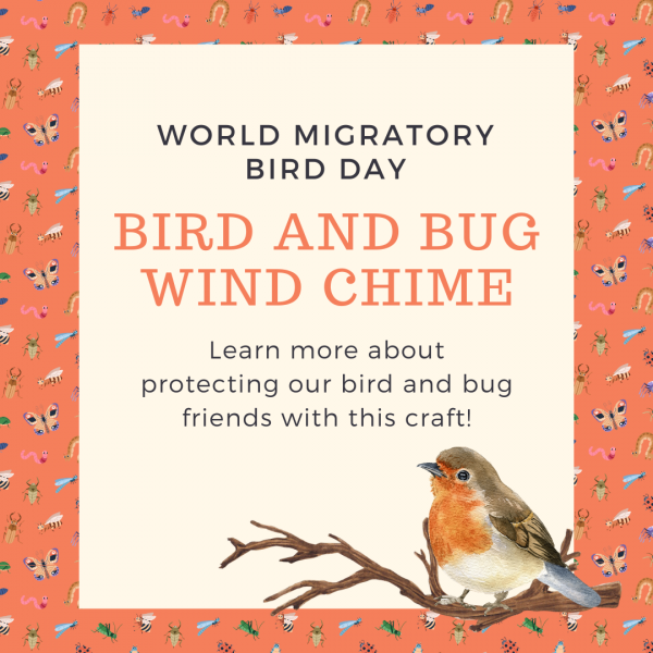 Image for event: Bird and Bug Windchime