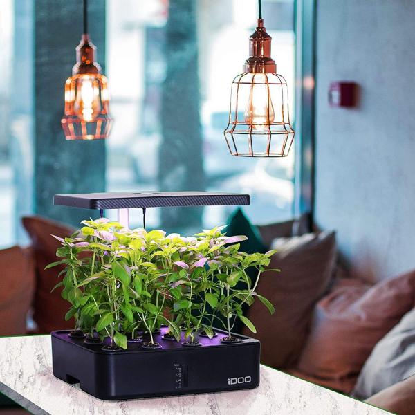 Image for event: Hydroponic Gardening 101 